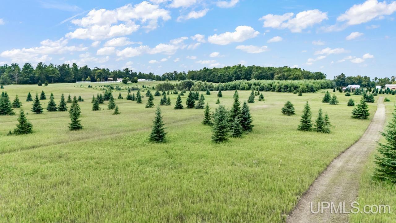 Tbd East Tbd E Labelle Road Powers, MI 49874 - Photo 5 of 11