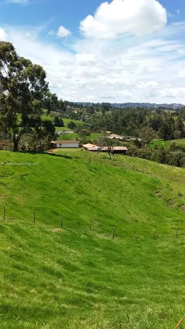 a view of an outdoor space and yard