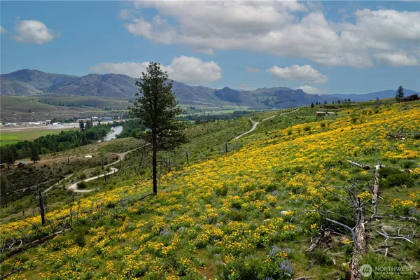 $125,000 | 70-tbd Hill Drive, Twisp, WA 98856