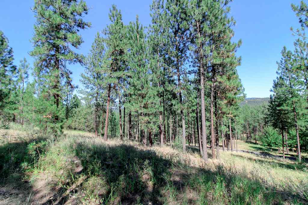 320 East White Road Spokane, WA 99224 - Photo 21 of 23 Gallery Image 21