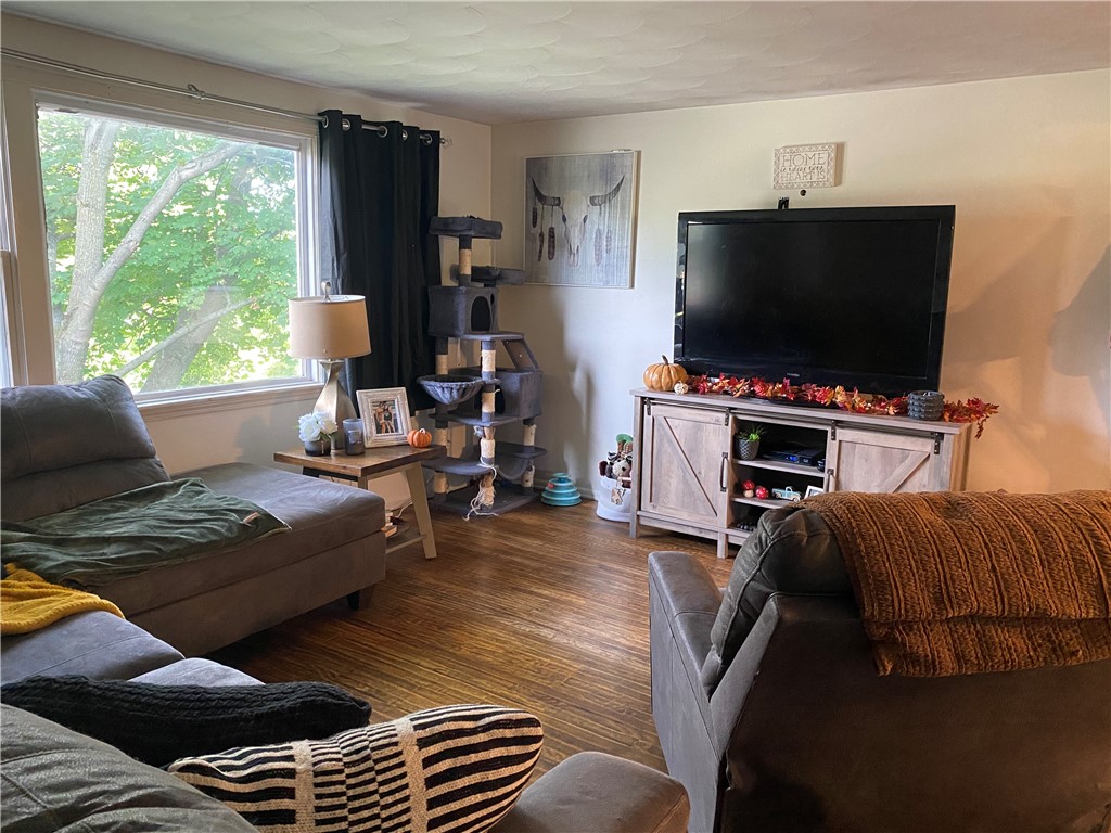 263 Edgett Street Arcadia, NY 14513 - Photo 8 of 26 Living room