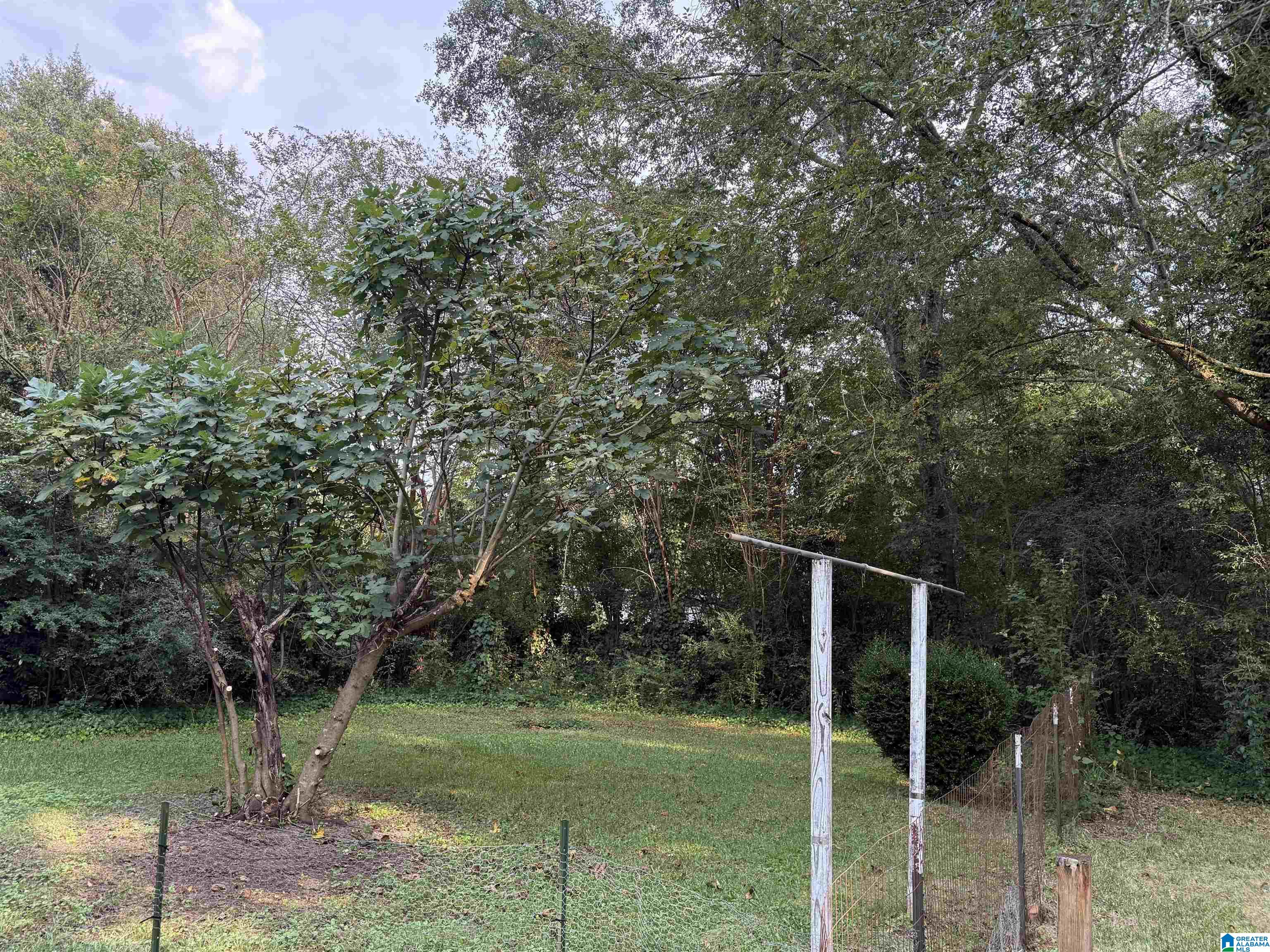 400 Broadleaf Drive Talladega, AL 35160 - Photo 3 of 32