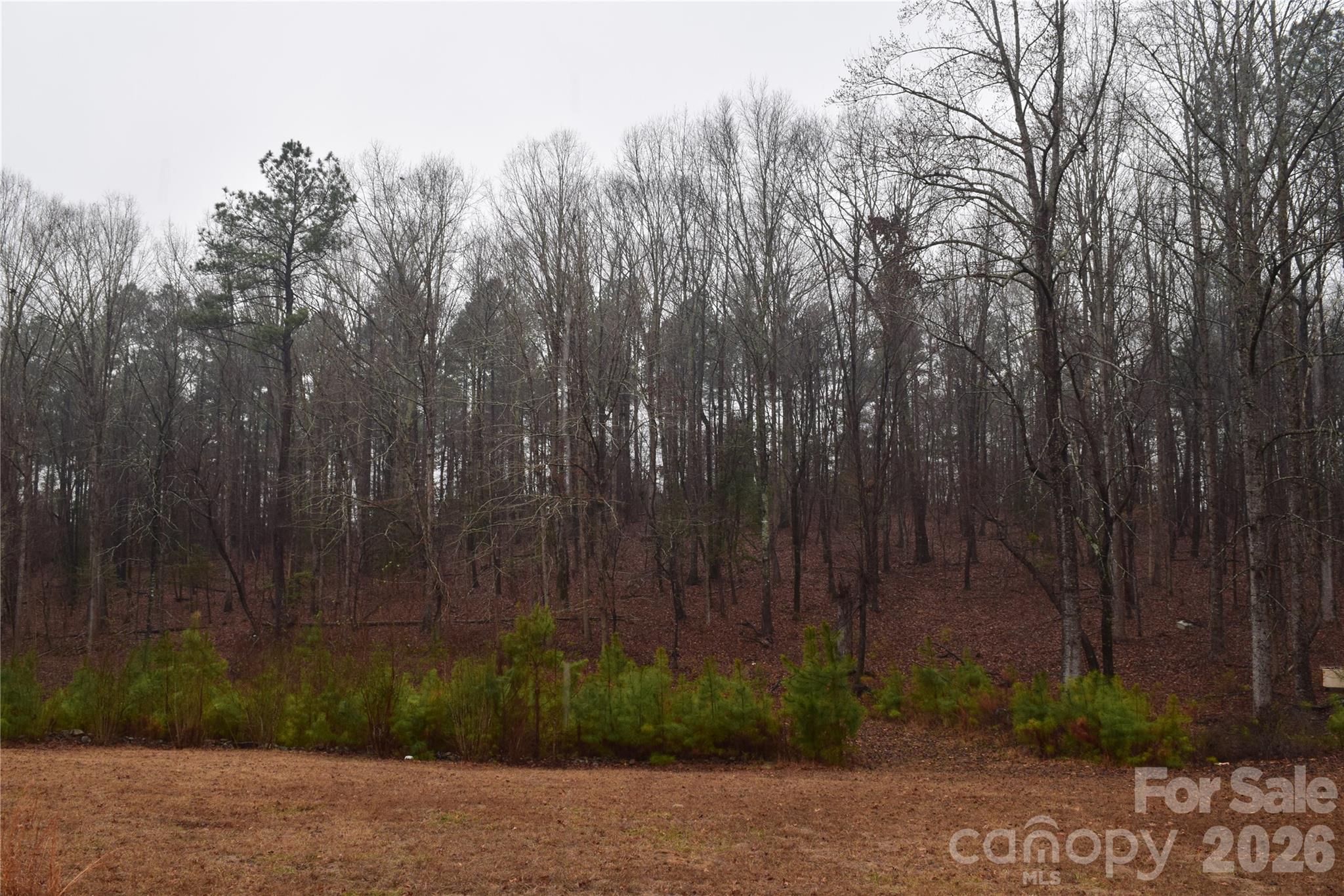 9588 Taxahaw Road Kershaw, SC 29067 - Photo 6 of 6