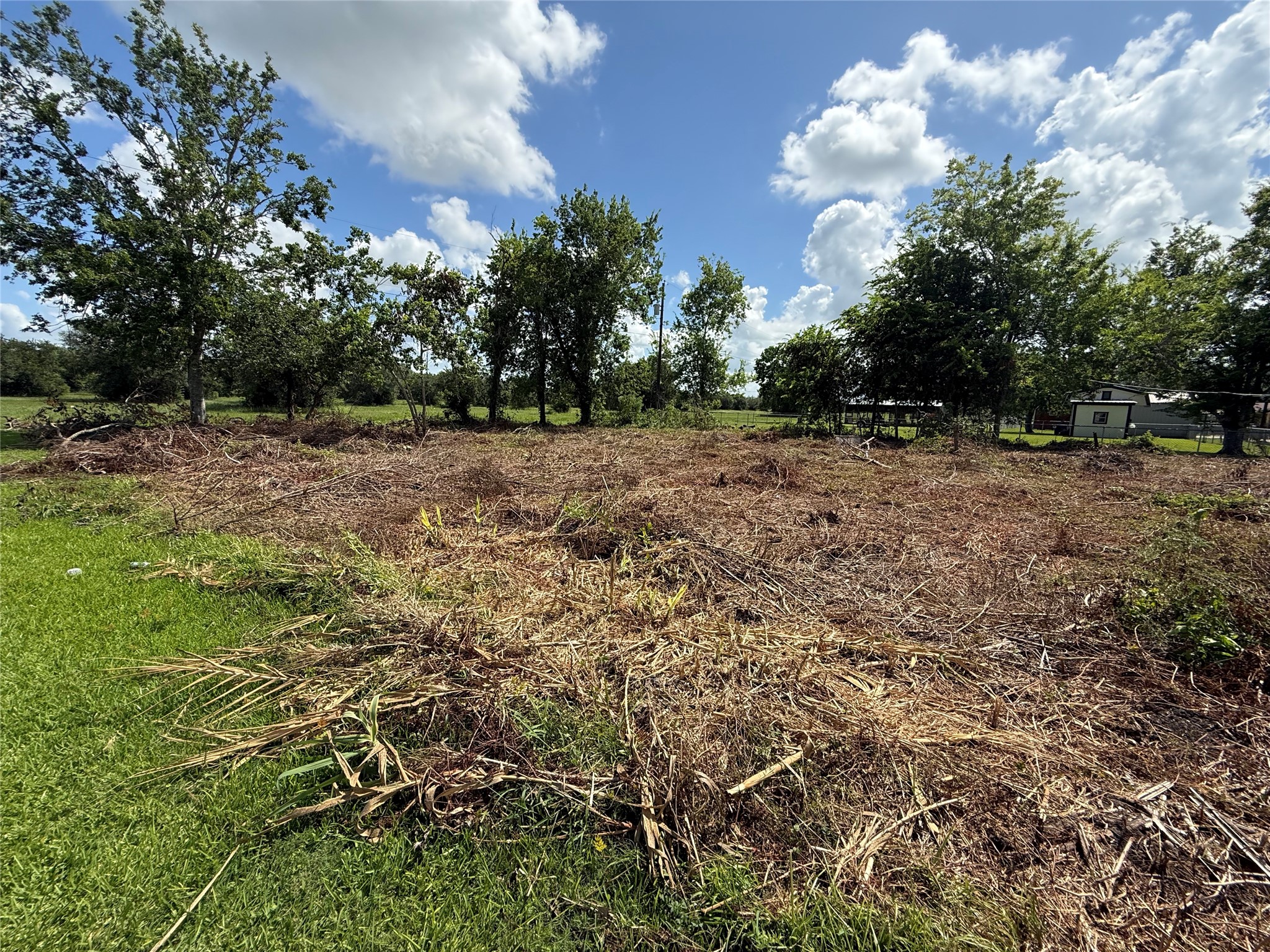 409 County Road 243 Angleton, TX 77515 - Photo 6 of 7 Nearly half an acre of land.