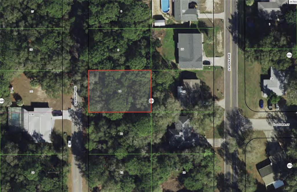 3737 South Diamond Avenue Inverness, FL 34452 - Photo 1 of 1