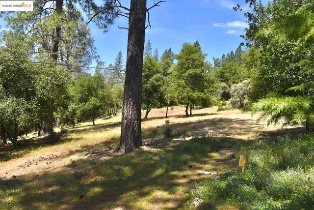 $585,000 | 20892 Mc Kinley Way, Groveland, CA 95321