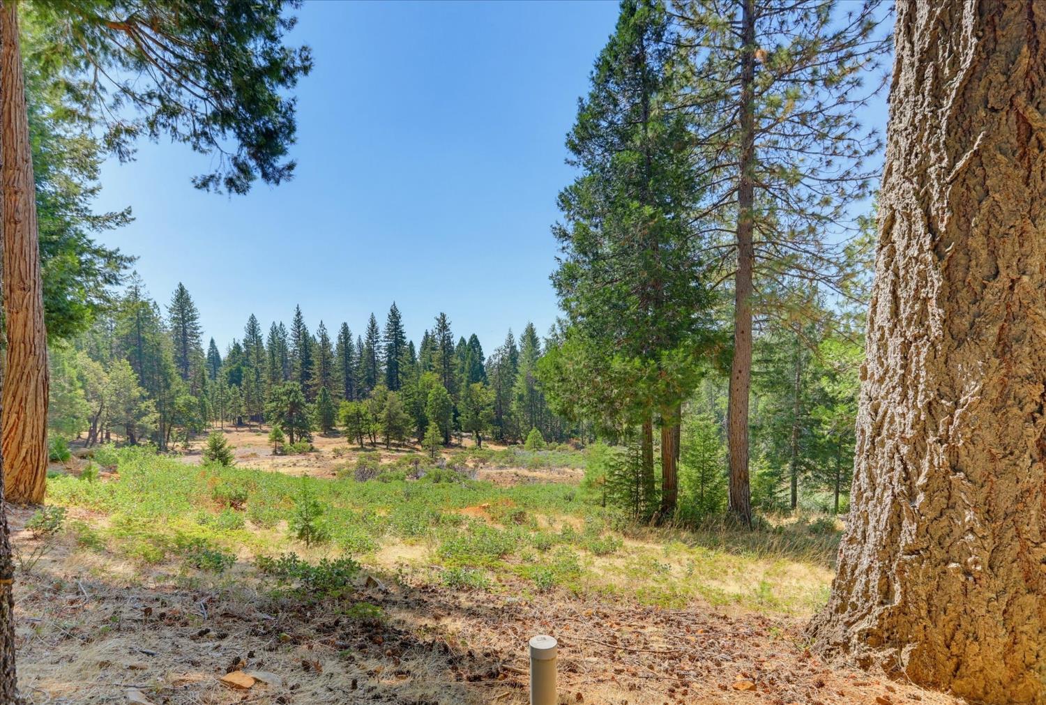 14696 Oak Ridge Road Nevada City, CA 95959 - Photo 85 of 99 Gallery Image 85