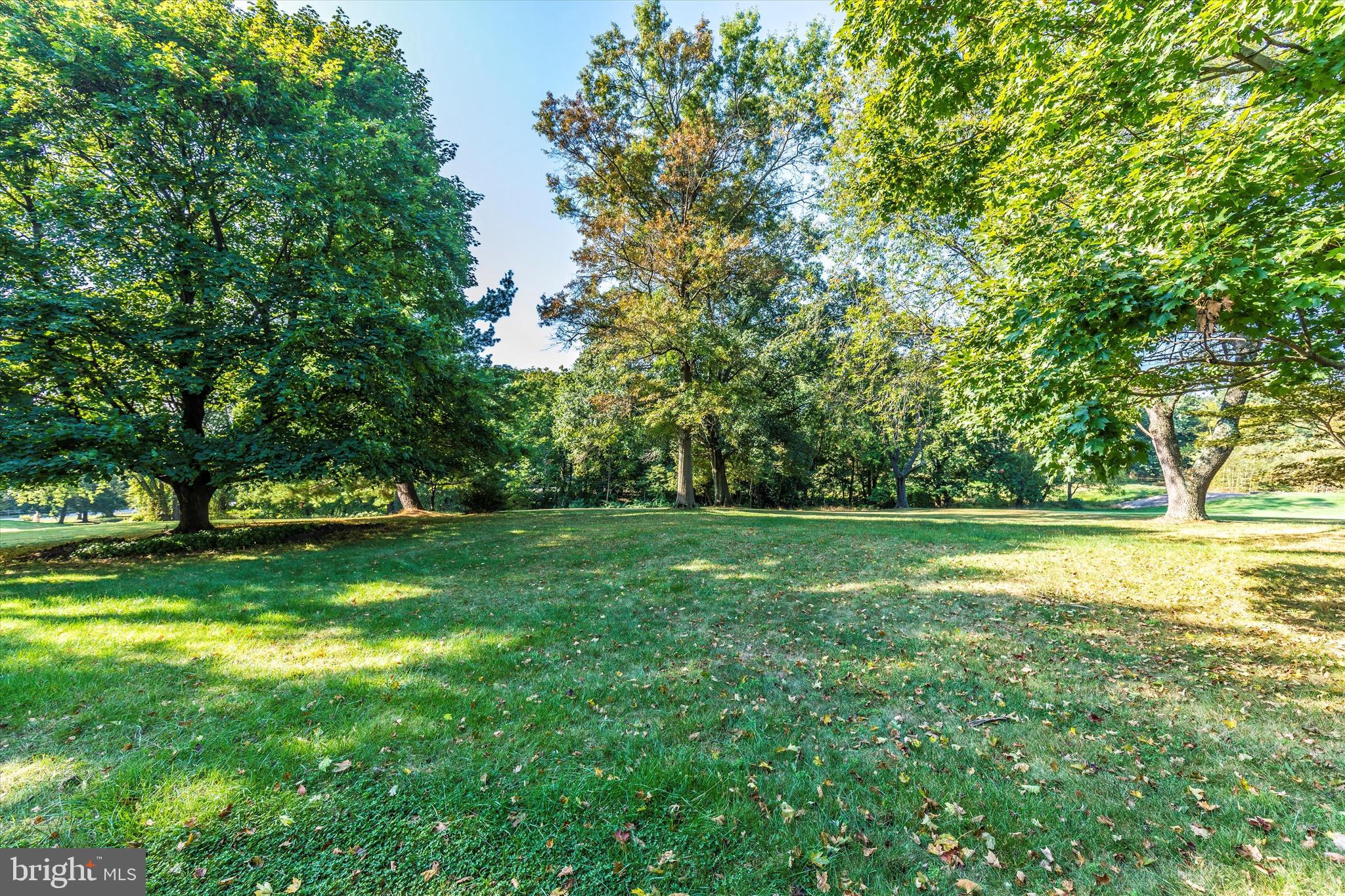 1737 Aidenn Lair Road Dresher, PA 19025 - Photo 22 of 29 Back Yard