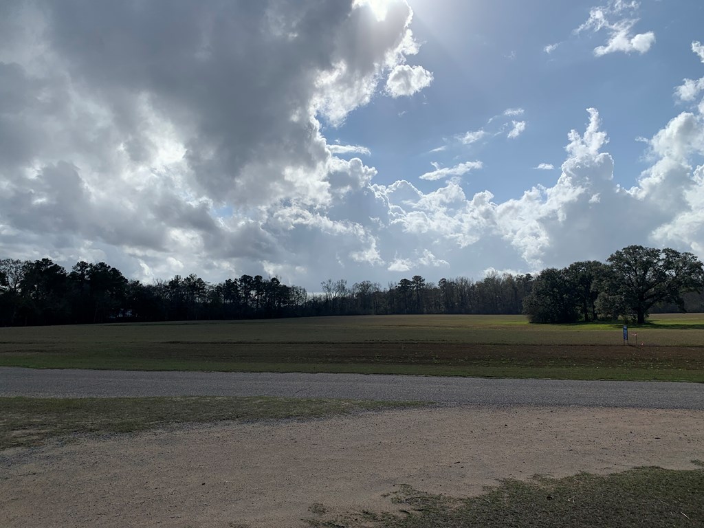 751 Hadden Road Dothan, AL 36301 - Photo 4 of 4