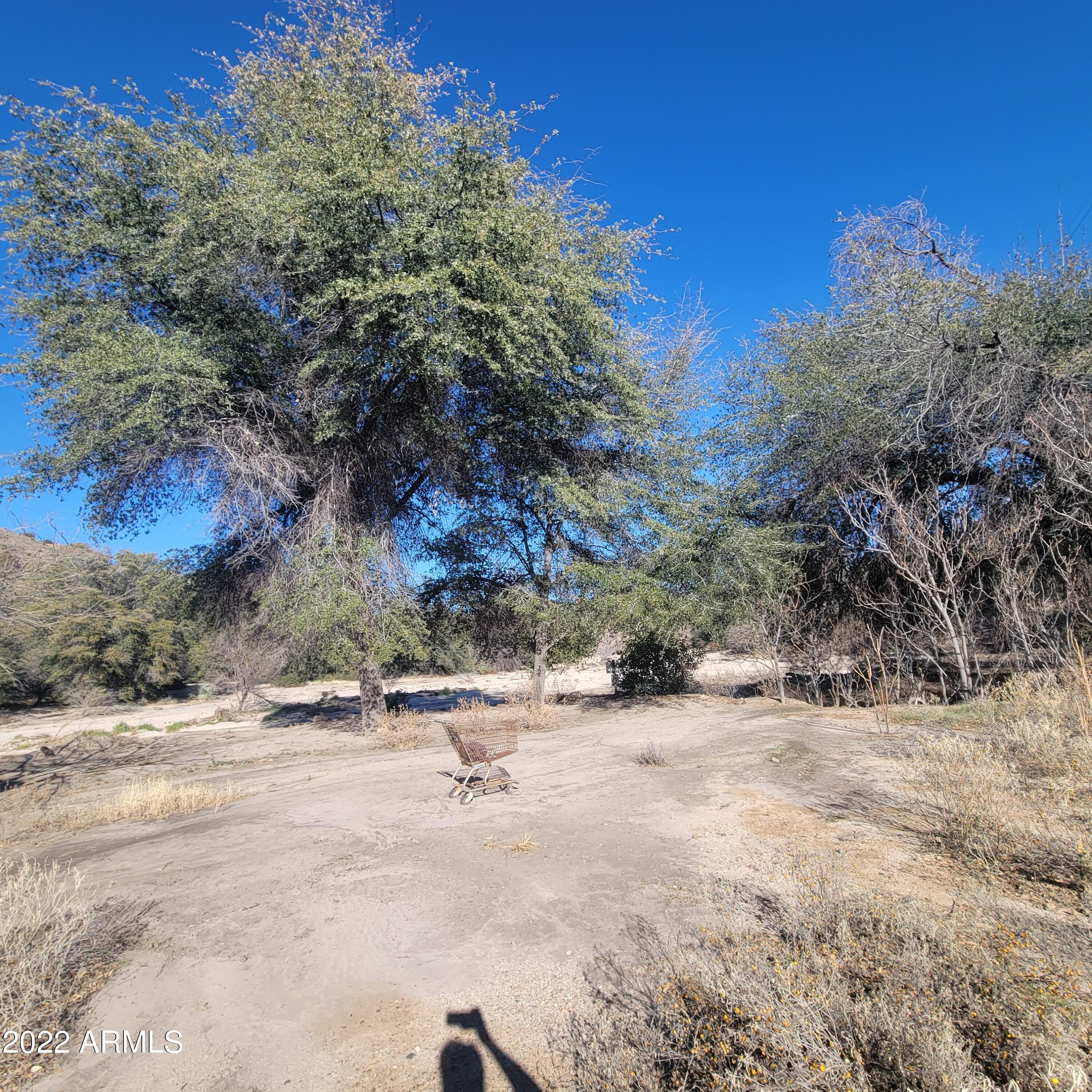 204-13-016 Mackey Camp Road Miami, AZ 85539 - Photo 16 of 25 20220127_150649