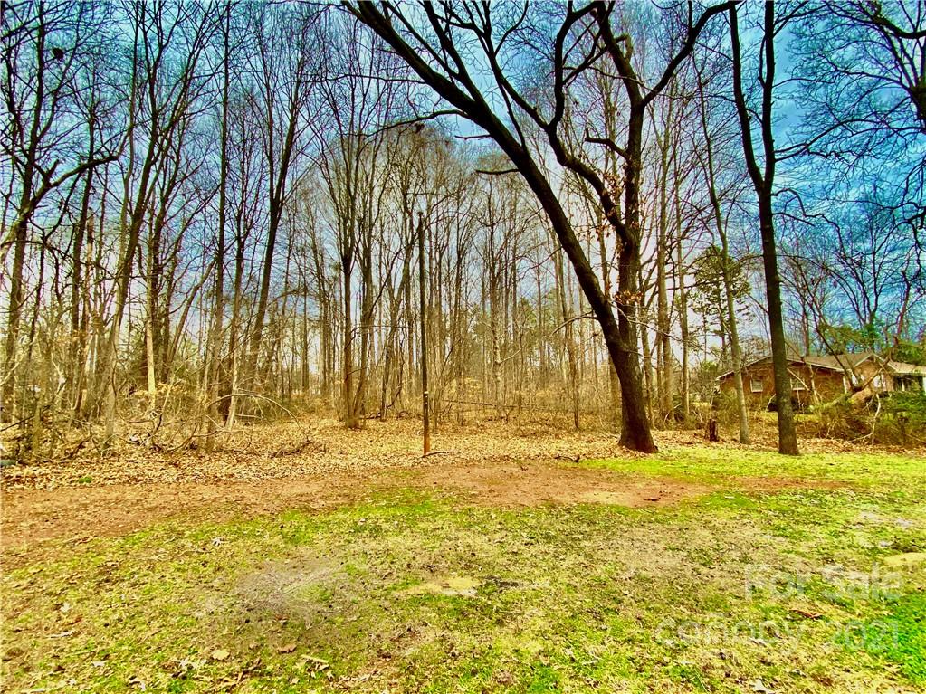 558 Quail Road Lexington, NC 27292 - Photo 8 of 27 Gallery Image 8