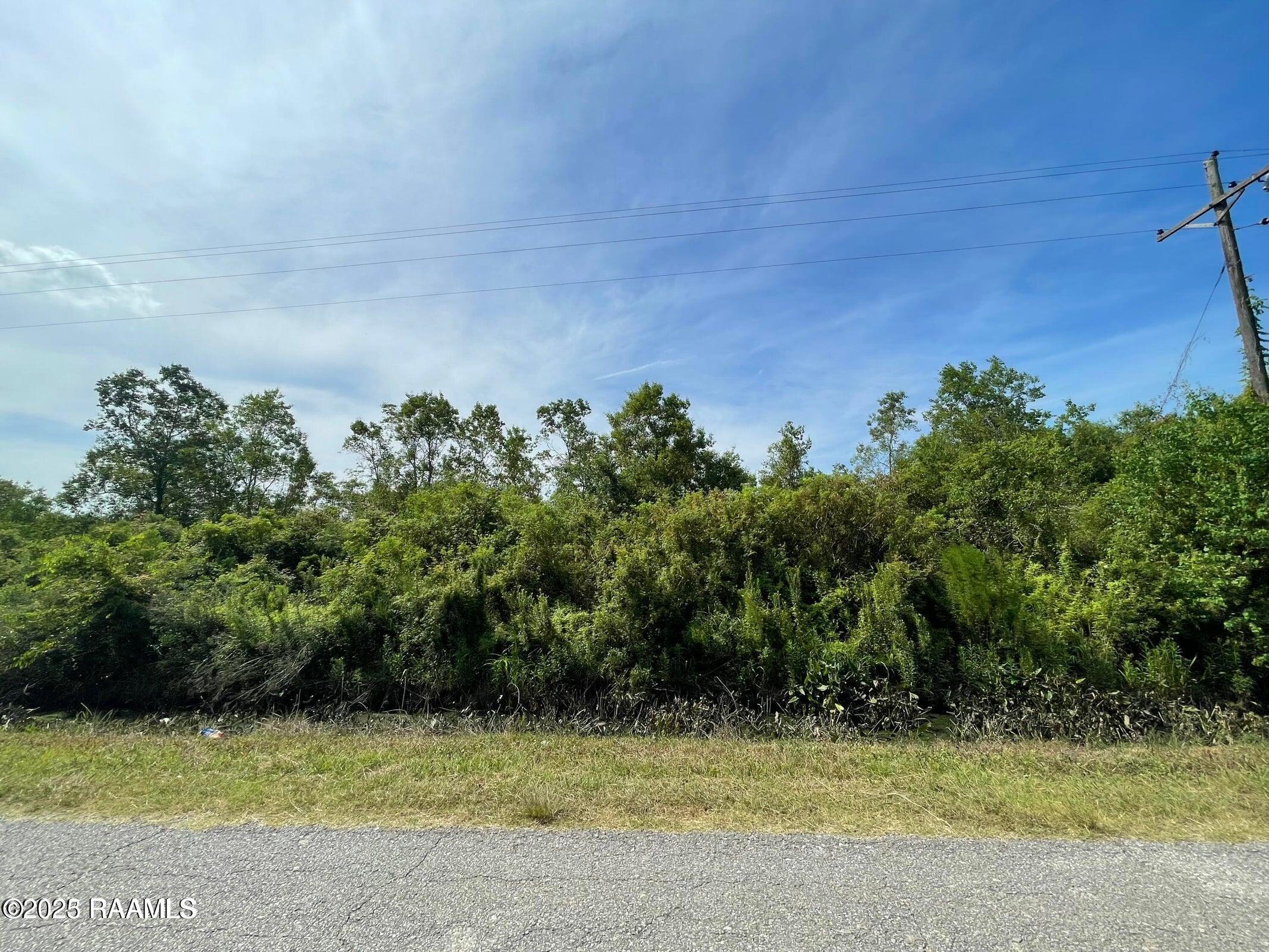 Tbd Cypress Point Road Gueydan, LA 70542 - Photo 1 of 1 Front