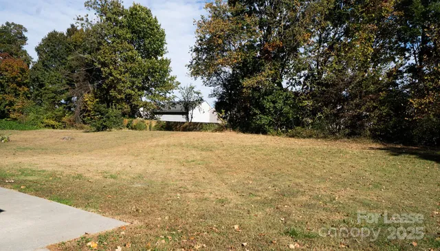 a view of a yard with a tree
