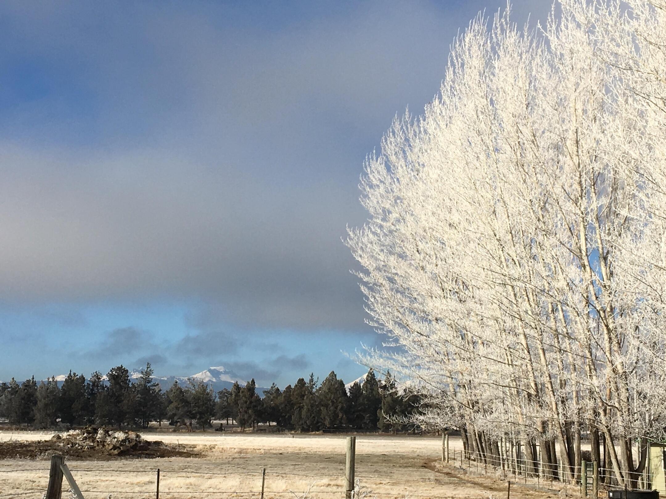 63475 Cricketwood Road Bend, OR 97701 - Photo 52 of 64 winter1