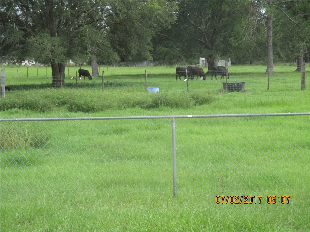 28296 Trigg Road Hilliard, FL 32046 - Photo 28 of 34 a view of a park