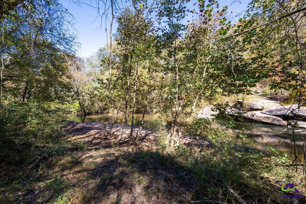 3271 Highway 42 Forsyth, GA 31029 - Photo 9 of 29
