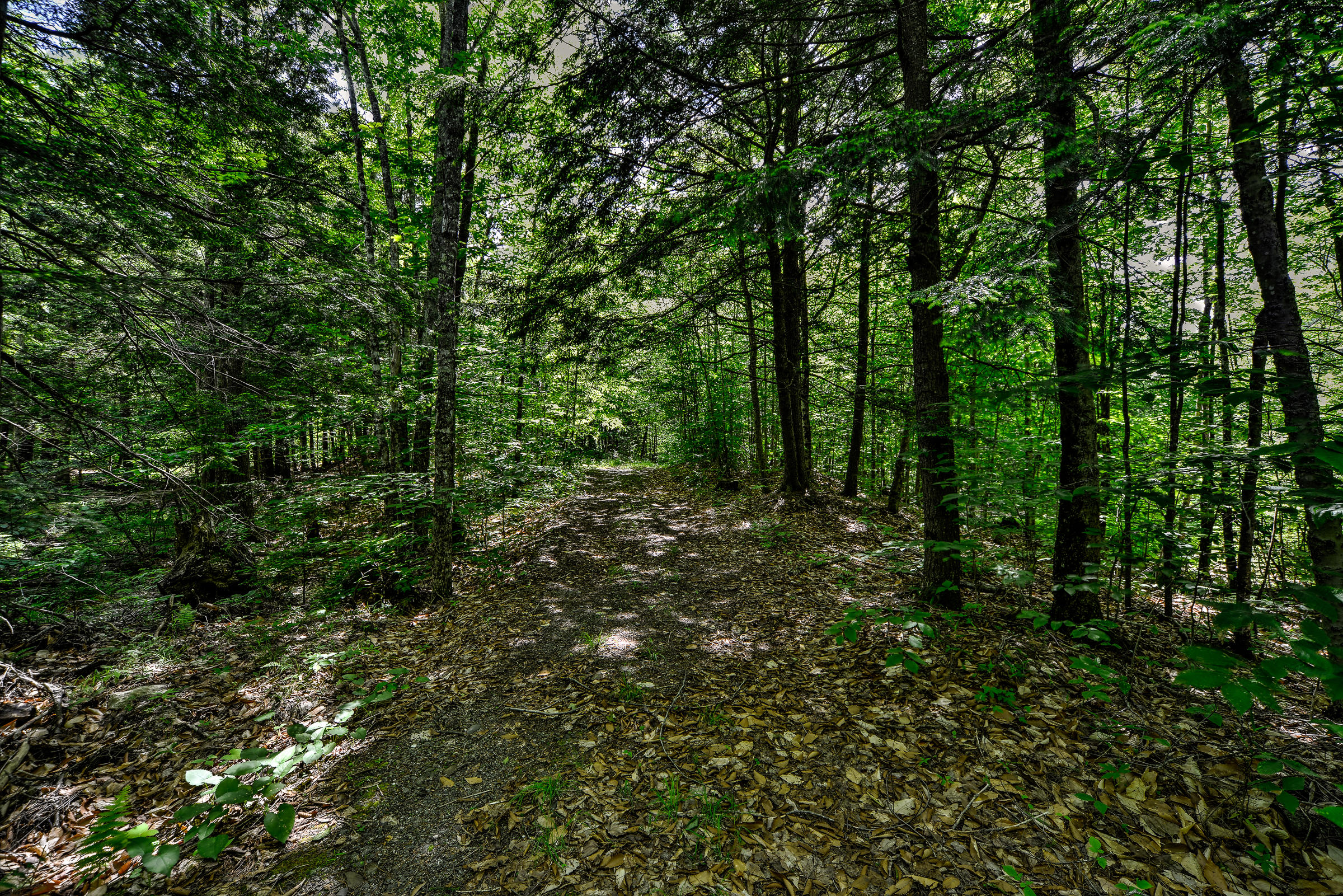 667 Belfast (rte 137) Road Freedom, ME 04941 - Photo 8 of 15 107718-7