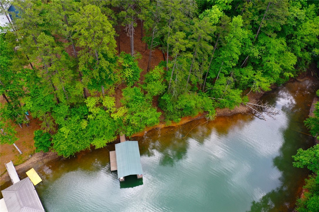 Lot 114 Harbor Point Seneca, SC 29672 - Photo 16 of 46 This tranquil waterfront property offers private docks amidst lush natural surroundings.