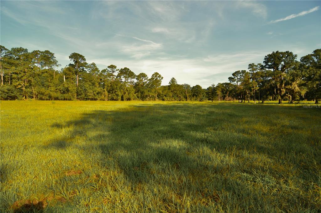 4802 Northwest 50th Road Starke, FL 32091 - Photo 12 of 75 Gallery Image 12
