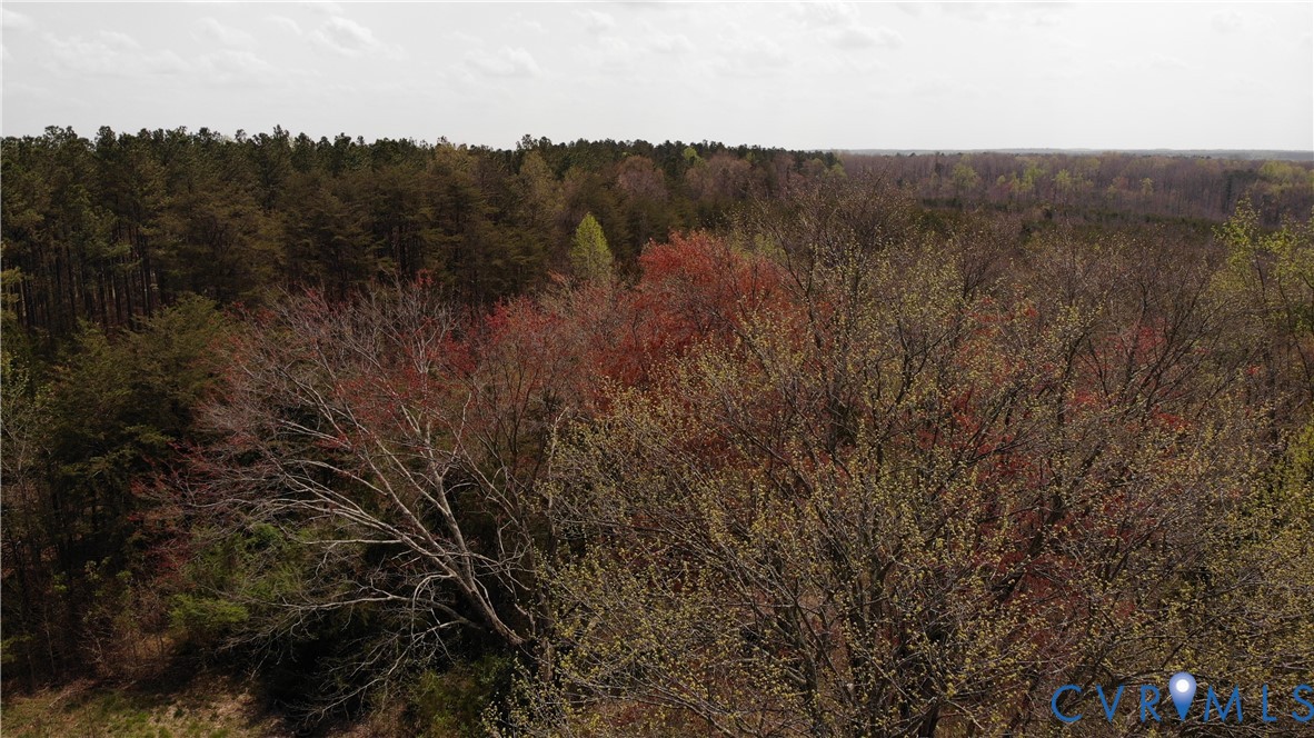 4439 River Road West Goochland, VA 23063 - Photo 4 of 4 a view of lake with green space