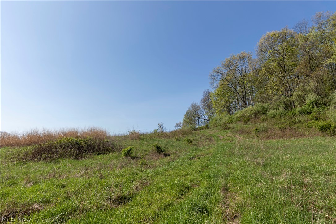 80960 Burkhart Road Tippecanoe, OH 44699 - Photo 46 of 50