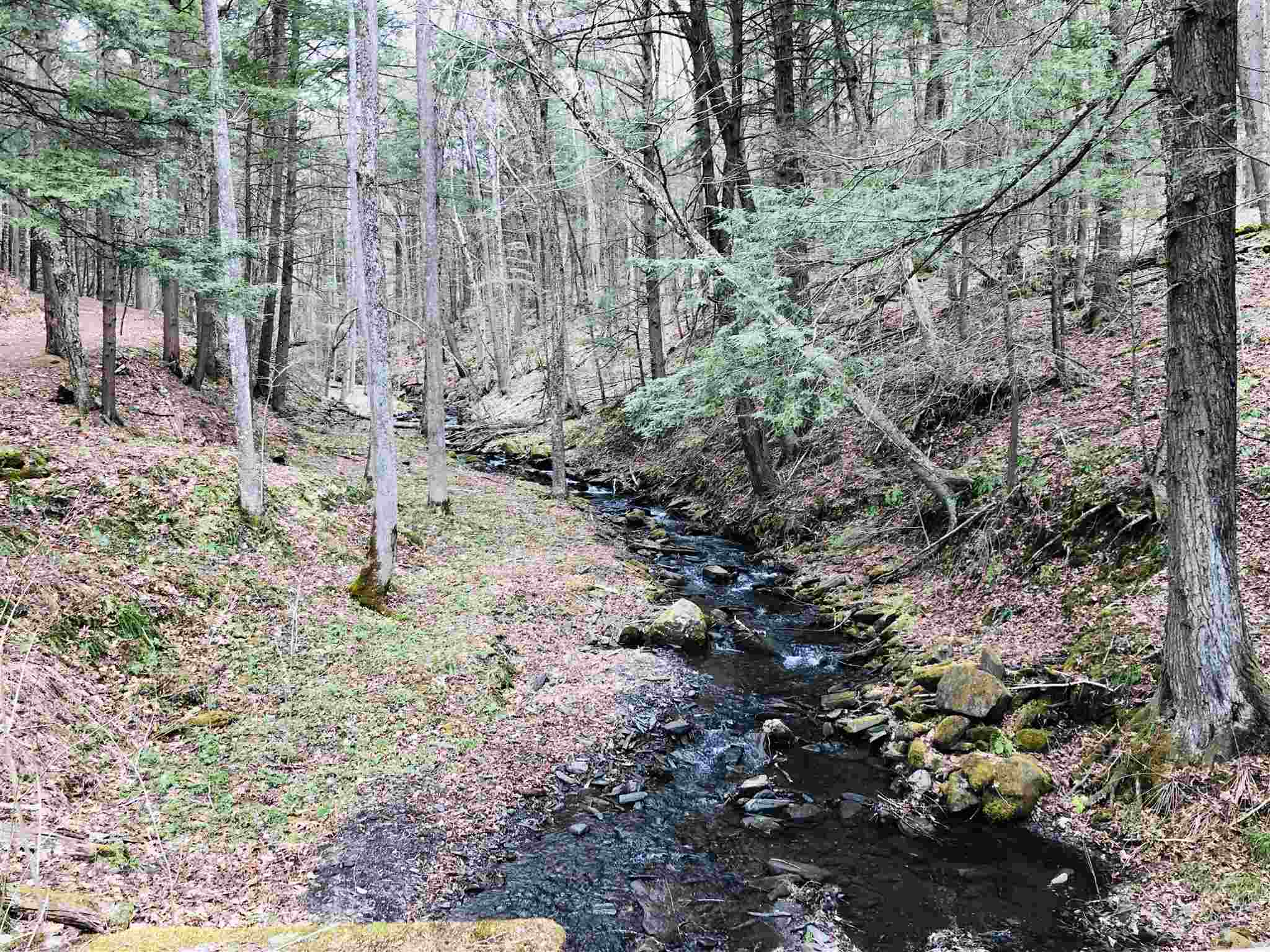 0 Fish Hill Road, Unit LOT 9 Randolph, VT 05060 - Photo 8 of 9