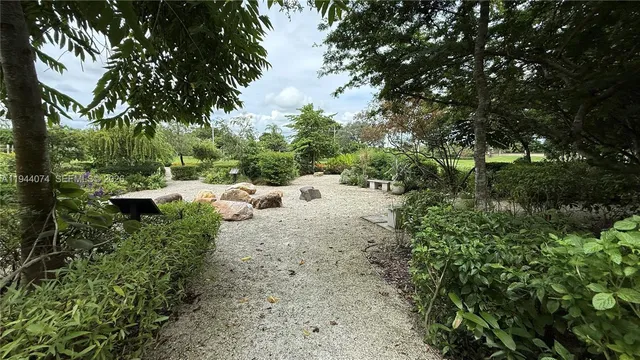 a view of a backyard