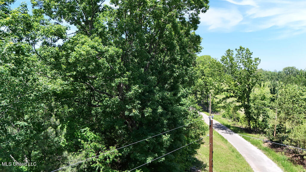 0 Rowsey Road Water Valley, MS 38965 - Photo 20 of 21 21
