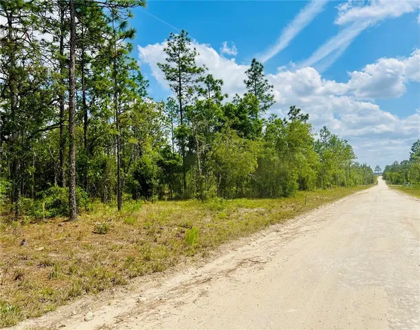 a view of a yard with plants and trees