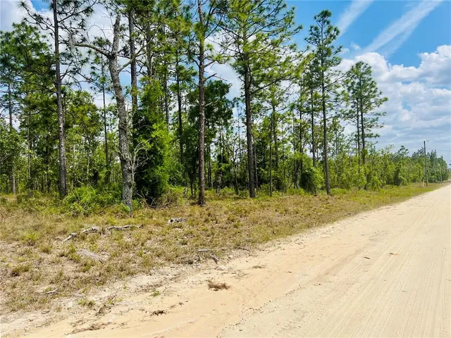 a view of a yard with plants and trees