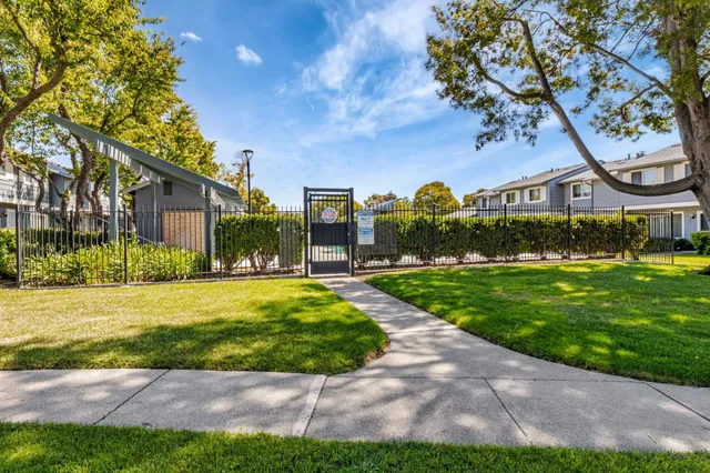 a front view of a house with yard and green space
