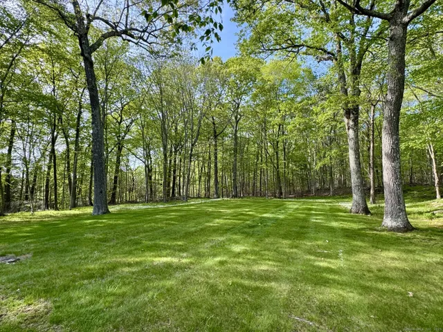 a big yard with lots of tall trees