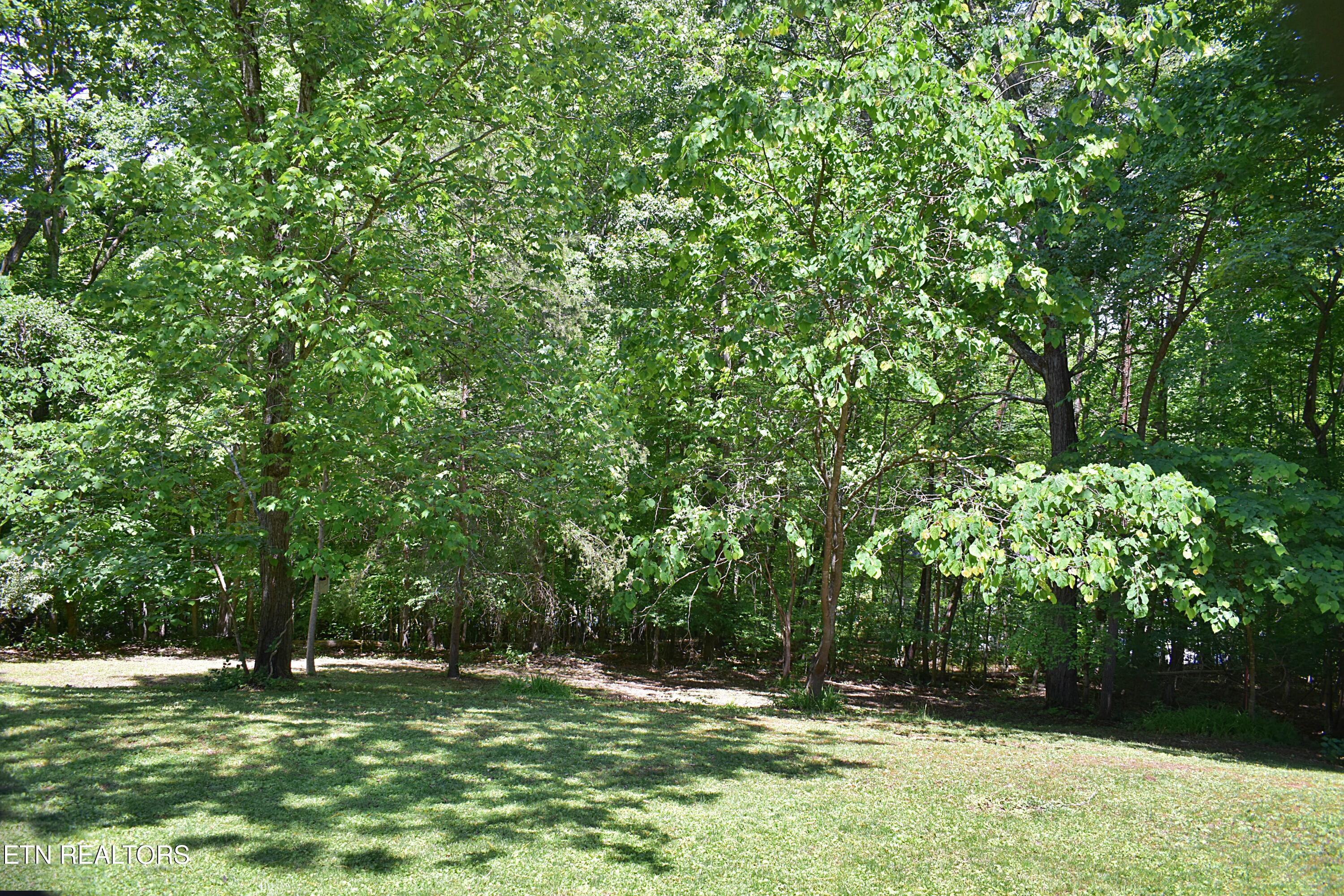 129 Jefferson Street Harrogate, TN 37752 - Photo 12 of 51 DSC_0012