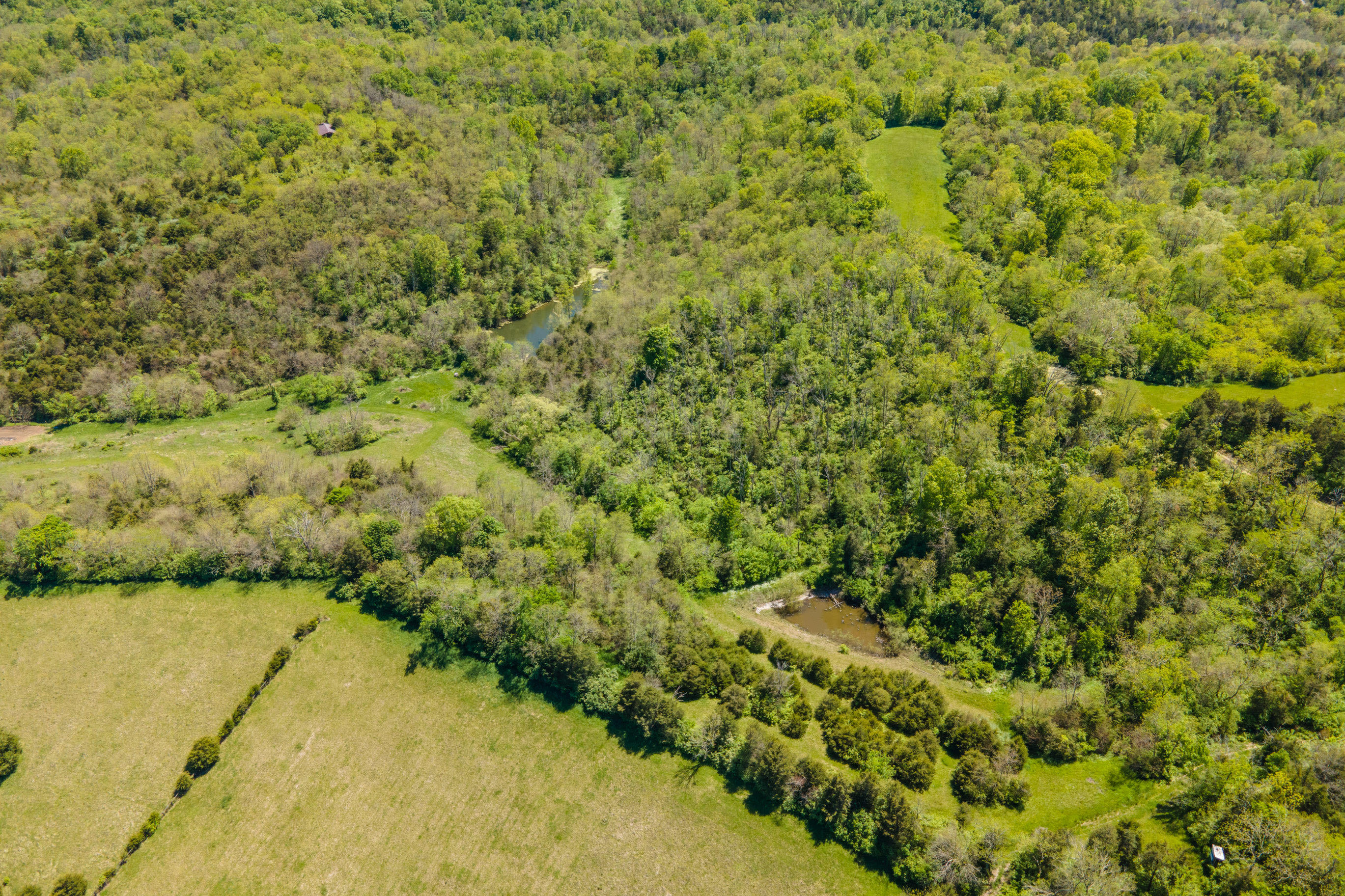 2080 Elm Fork Road Nicholasville, KY 40356 - Photo 68 of 91 20210512-2080-Elmfork-Rd-smith-drone-rea