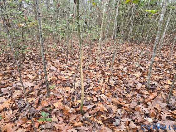 0 Tabscott Road Kents Store, VA 23084 - Photo 14 of 16 Wooded landscape featuring dense, natural foliage