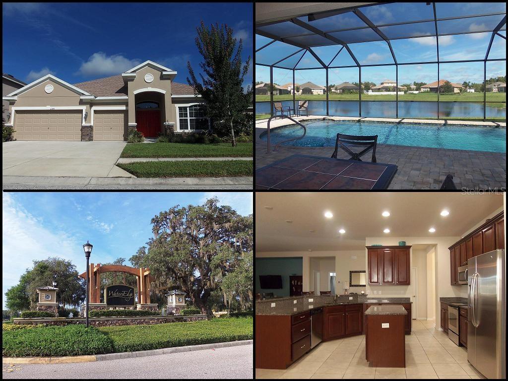 11345 Tayport Loop New Port Richey, FL 34654 - Photo 1 of 1 Gallery Image 1