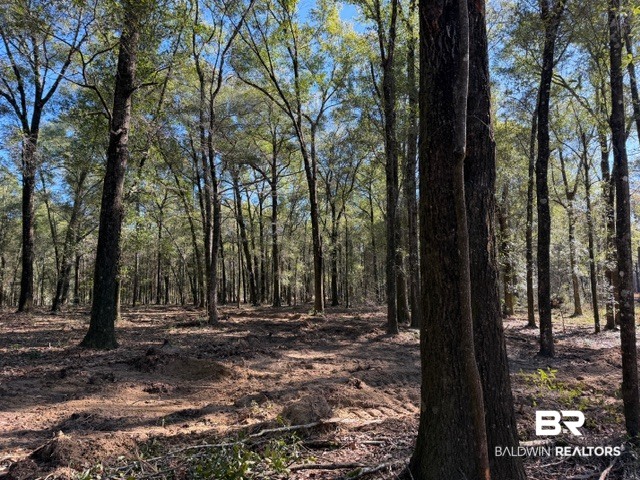 0 Danner Road East Wilmer, AL 36587 - Photo 10 of 34 Gallery Image 10