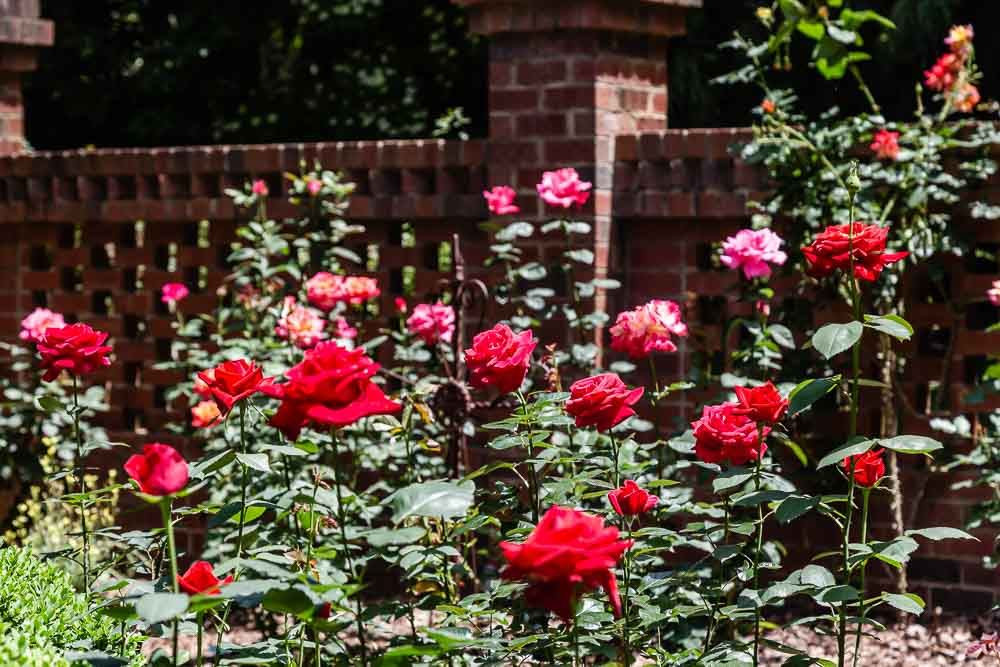 2304 Wheeler Road Raleigh, NC 27612 - Photo 30 of 30 Photo 30