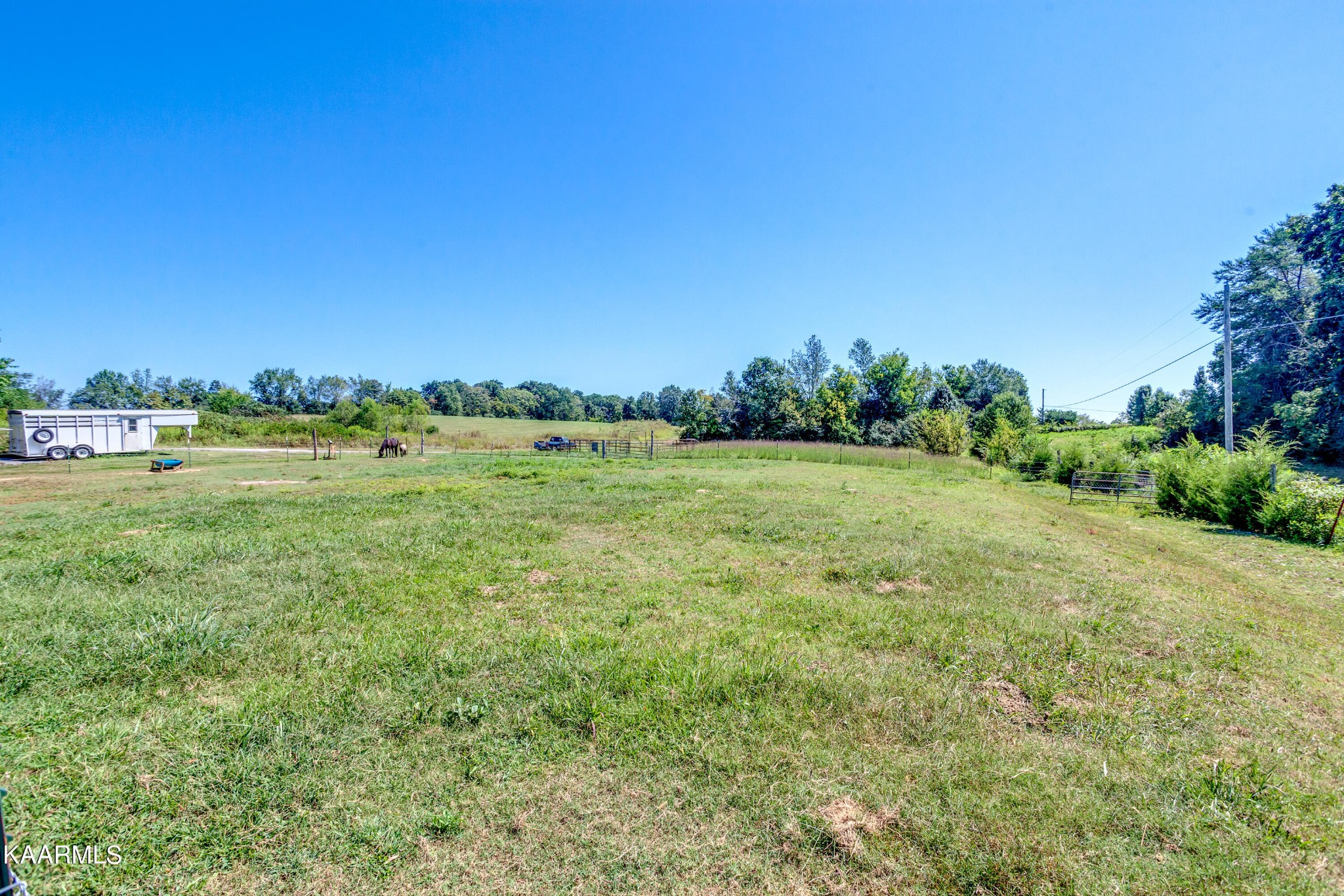 788 Seed Tick Road Philadelphia, TN 37846 - Photo 9 of 14 a view of a grassy field with trees