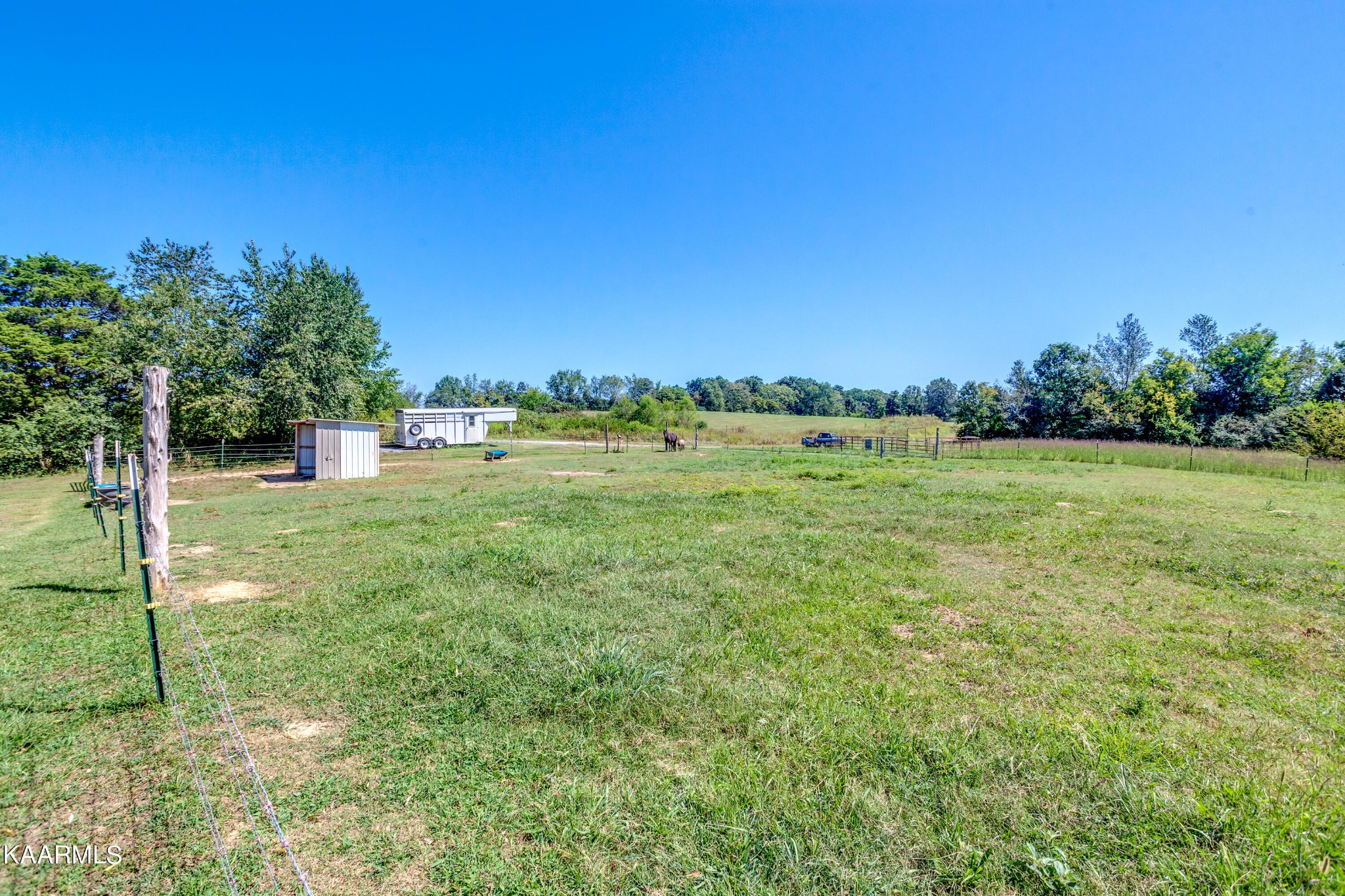 788 Seed Tick Road Philadelphia, TN 37846 - Photo 10 of 14 a view of a green field with trees in the background
