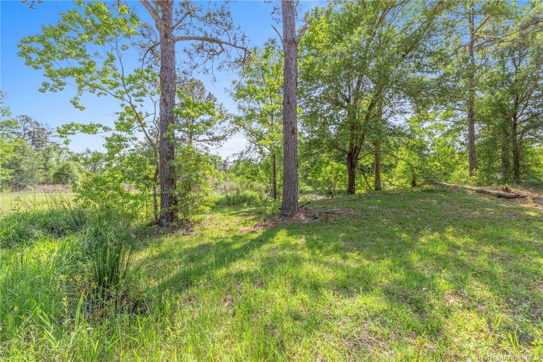 3 Davis Road Ragley, LA 70657 - Photo 1 of 9