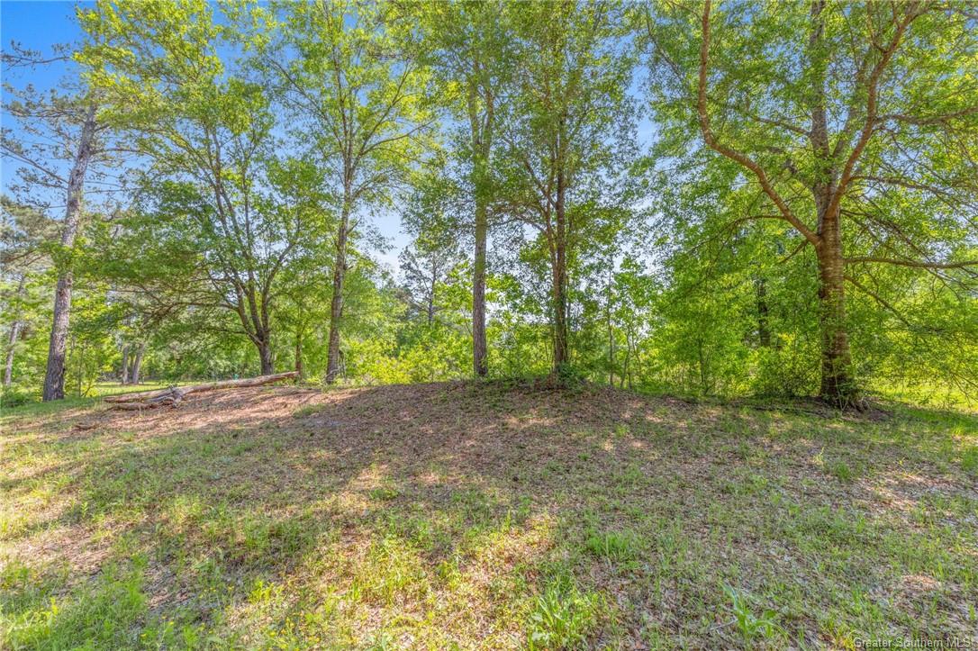 3 Davis Road Ragley, LA 70657 - Photo 2 of 9