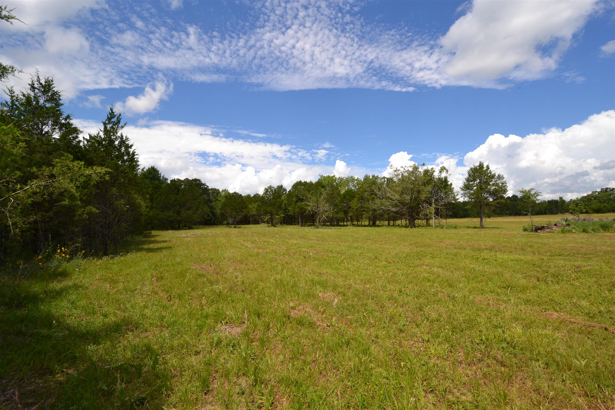 1 Fall Creek Road Lebanon, TN 37090 - Photo 8 of 11
