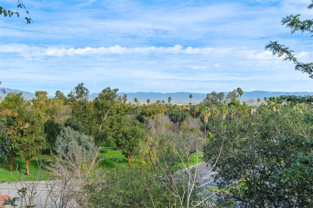 4121 Park View Terrace Riverside, CA 92501 - Photo 32 of 41 a view of a bunch of trees in a field