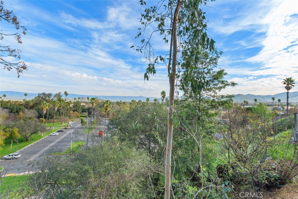 4121 Park View Terrace Riverside, CA 92501 - Photo 34 of 41 a view of a city with lush green forest