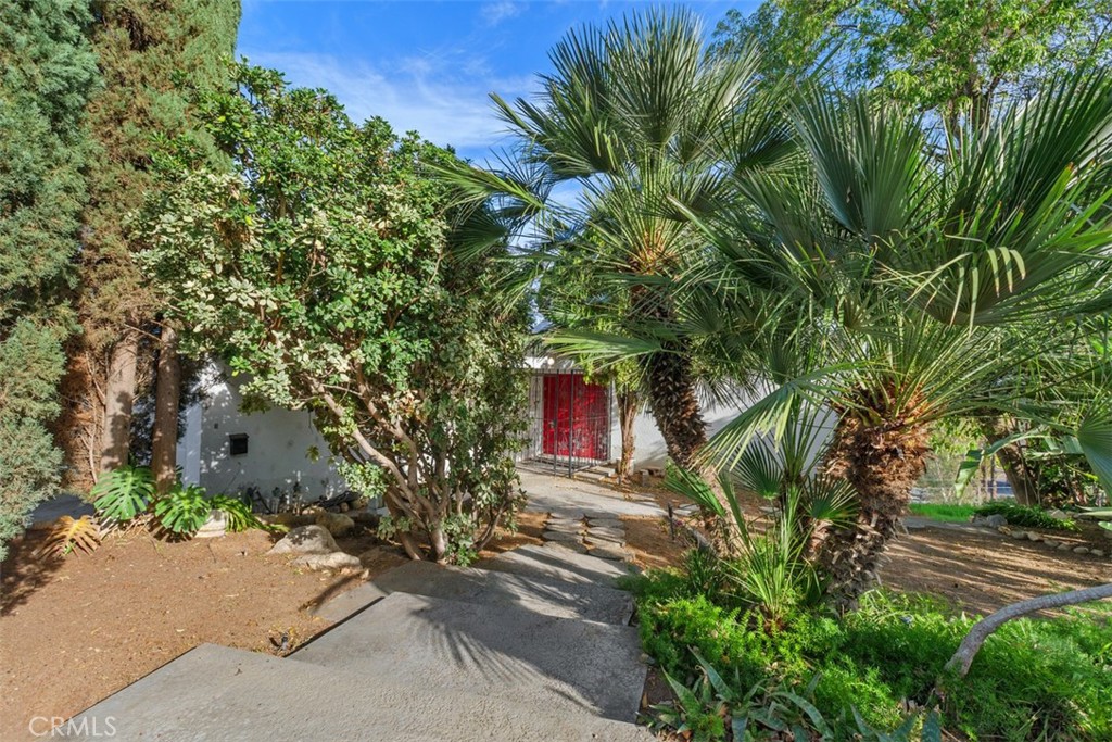 4121 Park View Terrace Riverside, CA 92501 - Photo 10 of 41 a plant is in front of a house