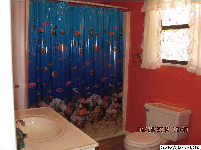 245 Macedonia Road Sylacauga, AL 35150 - Photo 10 of 20