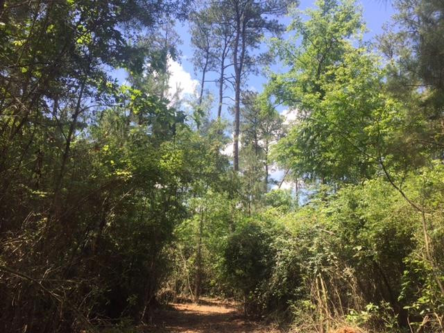 ... Wardlaw Road McComb, MS 39648 - Photo 1 of 7 Main View