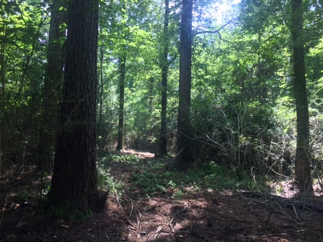 ... Wardlaw Road McComb, MS 39648 - Photo 2 of 7 Photo 2