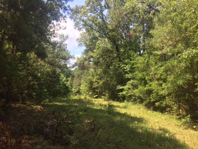 ... Wardlaw Road McComb, MS 39648 - Photo 3 of 7 Photo 3